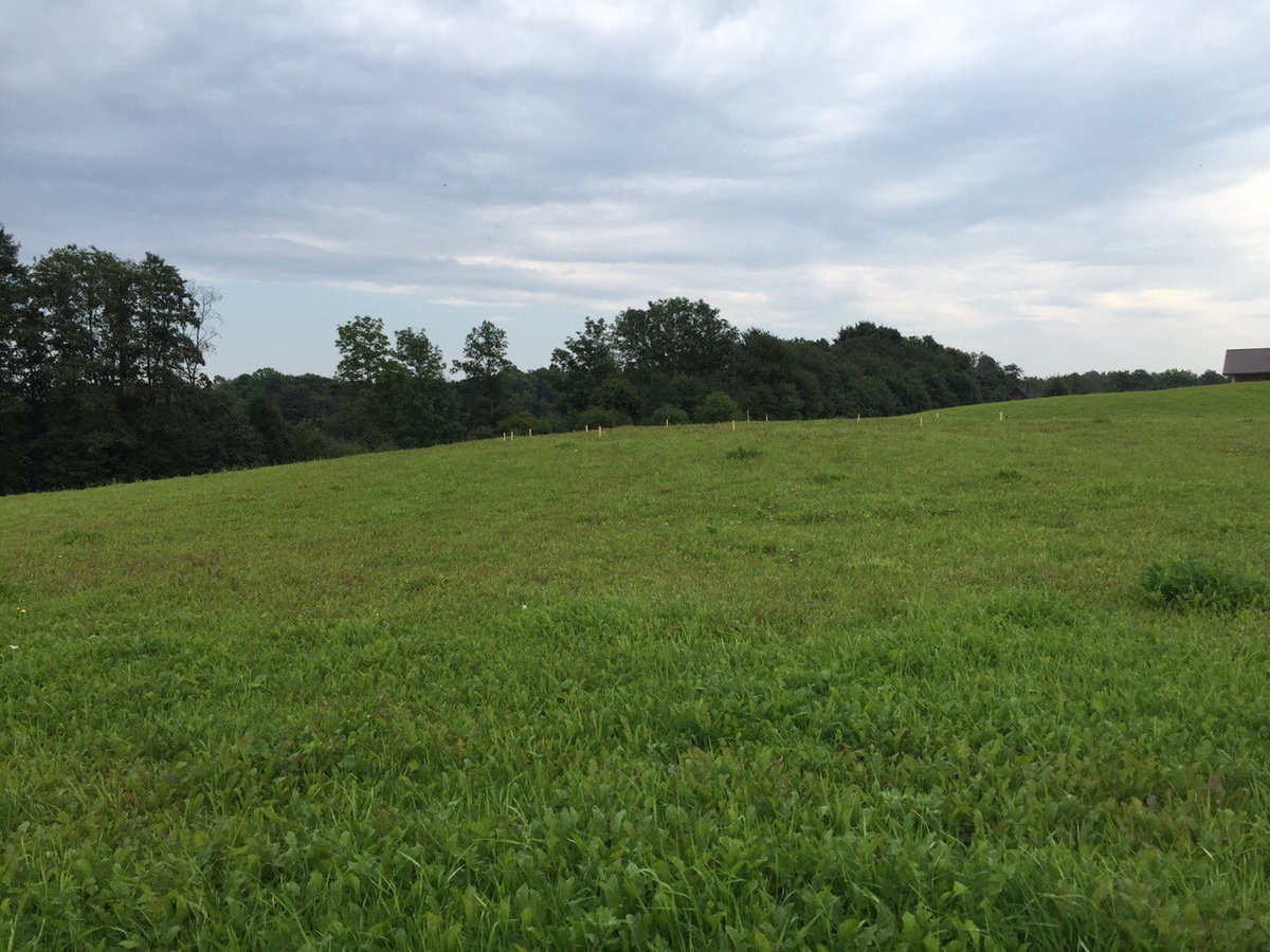 Apvalus Gyvenamasis Namas A+ Ø15m | Maišiagalos raj.