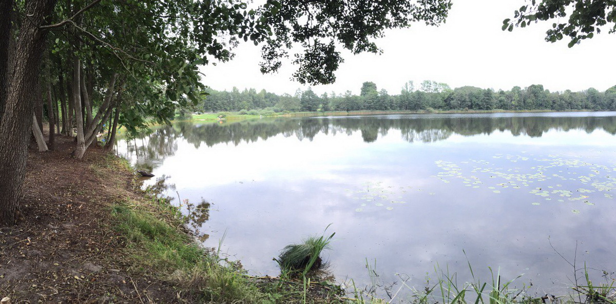 Apvalus Gyvenamasis Namas A+ Ø15m | Maišiagalos raj.