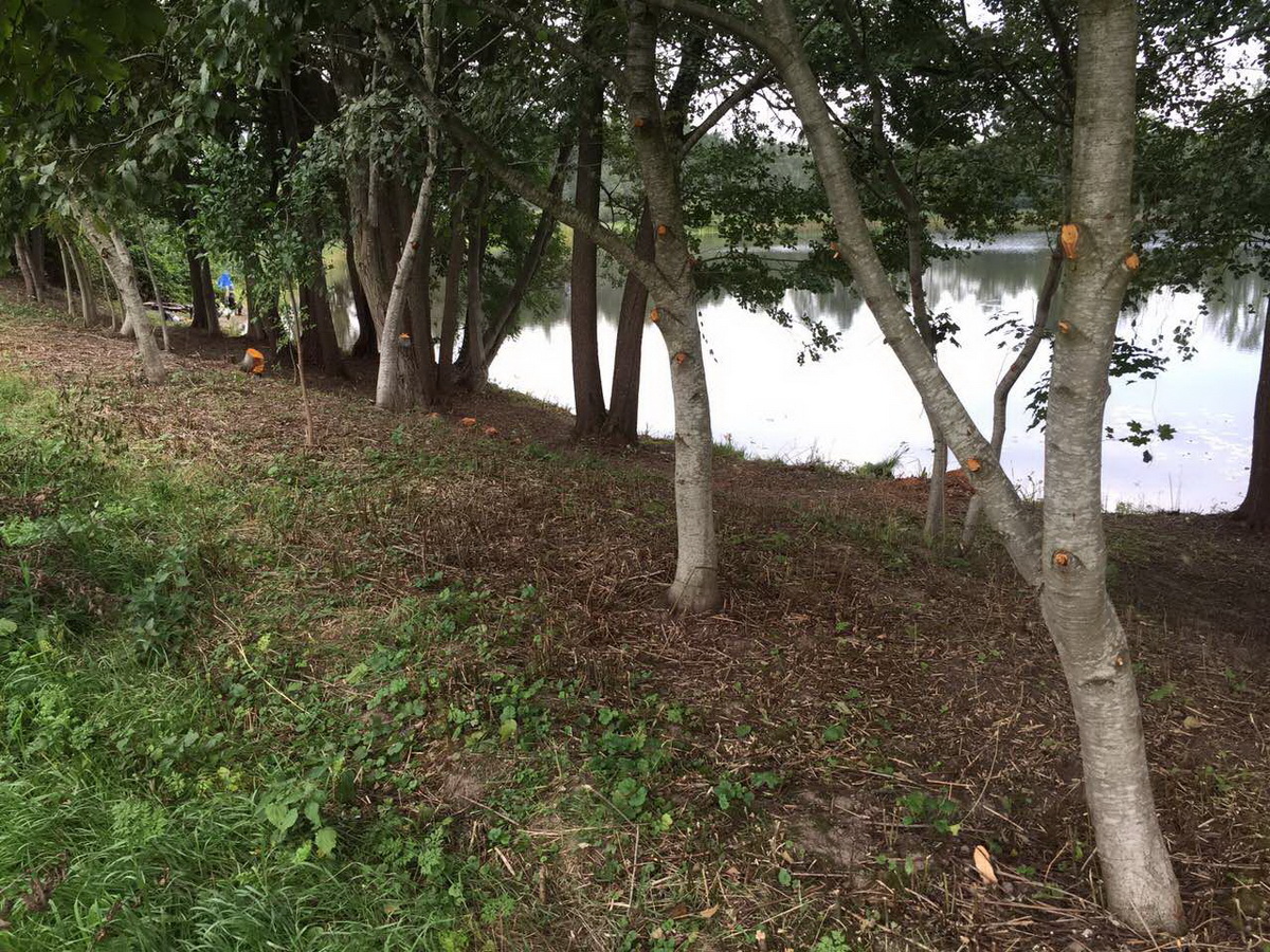 Apvalus Gyvenamasis Namas A+ Ø15m | Maišiagalos raj.