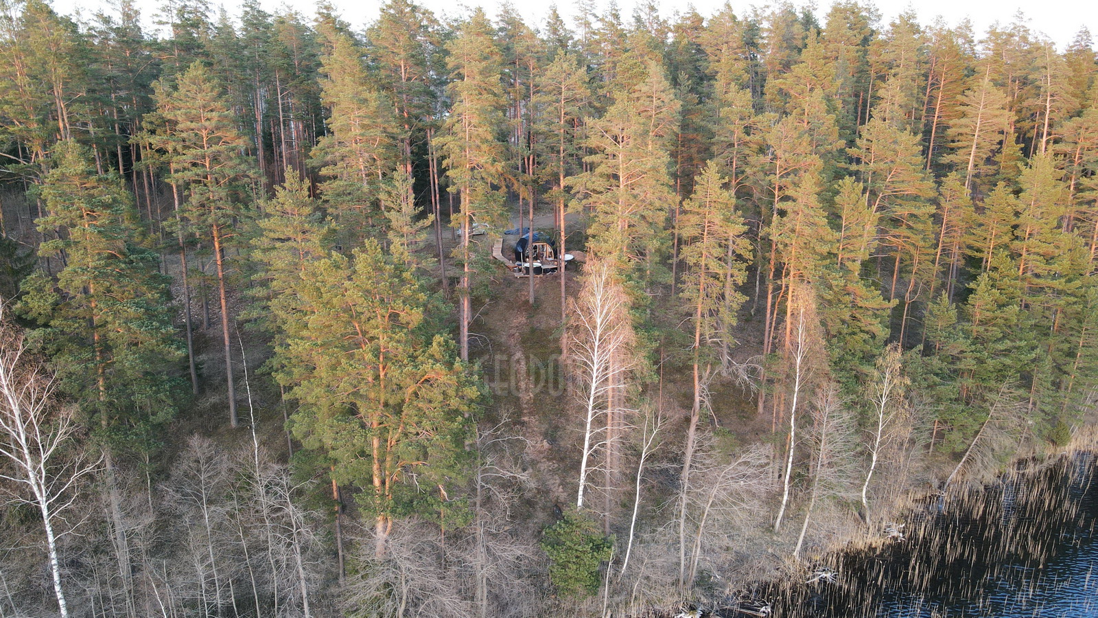 20m2 Glamping Kupolas Ø5m | Ekologinė bendruomenė, GLAMPINGLITHUANIA