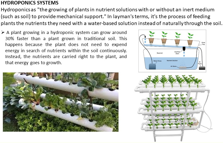 green_house_aeroponic_05 green_house_aeroponic_05