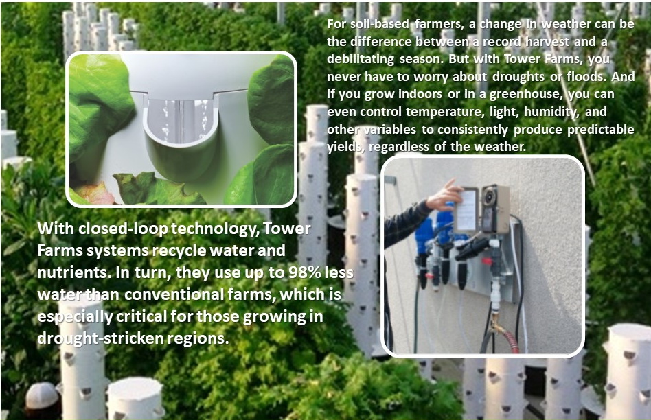 green_house_aeroponic_06 green_house_aeroponic_06